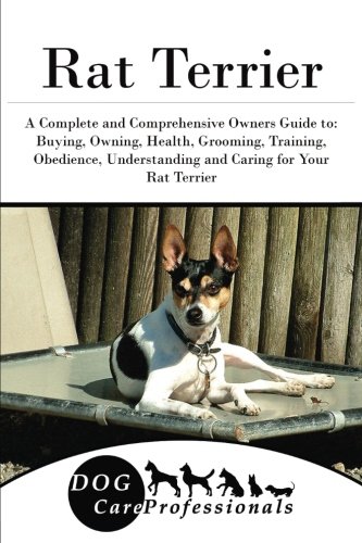 rat terrier grooming