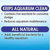 API STRESS ZYME Freshwater and Saltwater Aquarium Cleaning Solution 946ml view 3