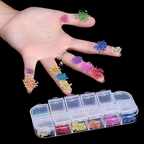 EYX Formula Set of 24 Different Colors Five Flower Variety Flower DIY Nail Art 3D Nail Stickers Nail Supplies Dried Flowers Nail Decoration Tool for Manicure