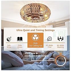 TSMKLEDAN 20" Woven Caged Ceiling Fans with Lights