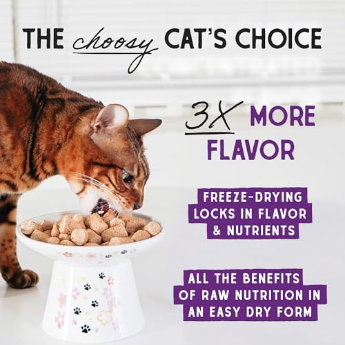 STELLA & CHEWY’S FREEZE-DRIED RAW CAT DINNER MORSELS – PREMIUM TURKEY RECIPE WITH 98% FARM-RAISED MEAT & ORGANS – NATURAL GRAIN-FREE CAT & KITTEN FOOD – MADE IN USA – 3.5 OZ