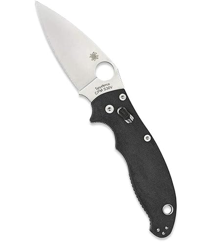 Amazon.com : Spyderco Sage 6 Folding Knife, PlainEdge | Black