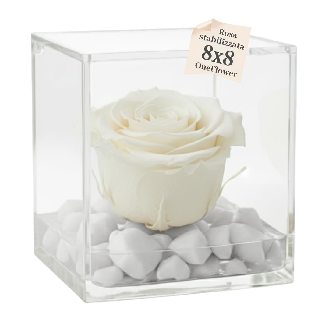 Premium-Rose.com Scented Stabilized Rose Cube - The Cube with a Real Rose that lasts even more than 5 Years 8cm White
