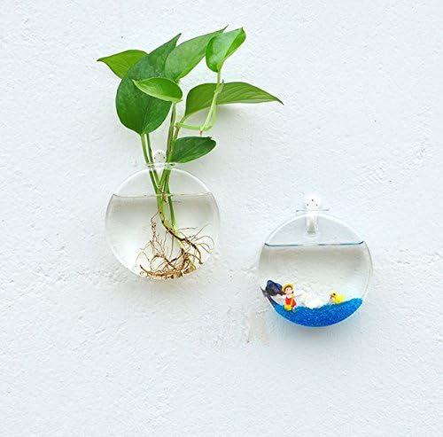 2 Packs Wall Decorative Glass Hanging Planter Wall Hanging Planters Flower Pots Glass Planter Vase Hanging Air Plant Terrariums Air Plant Container Air Plant Pots