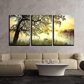 3 Piece Canvas Wall Art - Tree Near Lake During Sunset. Beautiful Natural Landscape - Modern Home Art Stretched and Framed Ready to Hang - 16"x24"x3 Panels