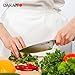 Dakatto Chef Knife