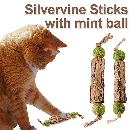 MIMIMOMO Catnip Toys for Cats Silvervine Sticks for Cats Interactive Cat Toys for Indoor Cats