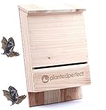 BAT House PEST Control - Bats Shelter Protects Home from Mosquitoes and Bugs - Dual Chamber Wooden Bat Boxes Built to Last - Houses Up to 360 Bats - Repels Pests from Garden (Large, Brown)
