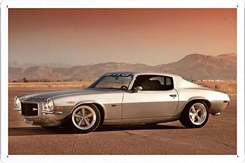 Automobile Car Vehicle Metal Poster Plate Tin Sign by Jake Box (8"x12" inches) A-CAR04779