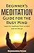 Meditation: Beginner's Meditation Guide for the Busy Mind: Learn to meditate from scratch and on the go (Meditation, Meditation for beginners, Mindfulness, ... Meditation, Mindfulness, Zen)