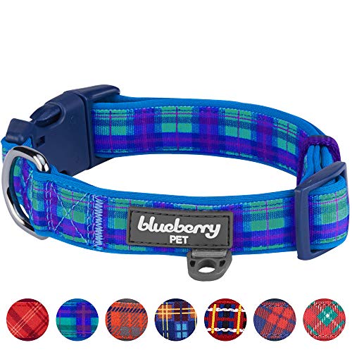 Blueberry Pet 7 Patterns Soft & Comfy Scottish Hudson Blue Plaid Tartan Style Designer Padded Adjustable Dog Collar, Medium, Neck 14.5″-20″