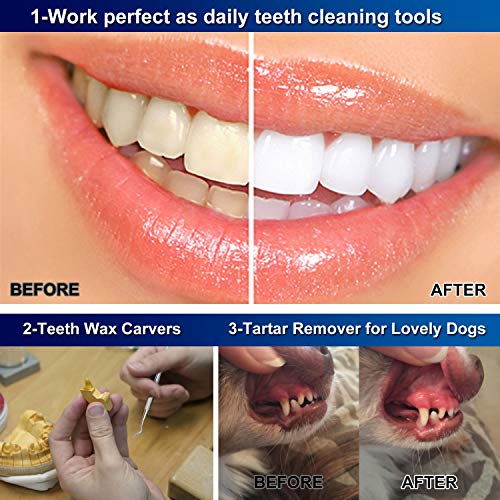 Dental Tools, 6 Pack Teech Cleaning Tools Set Stainless Steel Dental Scraper Tooth Pick Hygiene Set with Mouth Mirror, Tweezer Kit for Dentist, Family Oral Care, Dogs - with Leather Case - Thumbnail 5