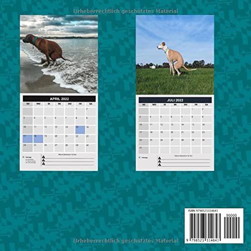 Kackende Hunde Kalender 2022 Lustige Geschenke Fur Freunde Hundebesitzer Weihnachten Neujahr Hundeliebhaber Hundemama Hundepapa German Edition Lasri Adam 9798523314643 Amazon Com Books
