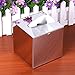 Sumnacon Square Stainless Steel Tissue Box Cover - Wall Mounted Stylish Paper Facial Cover, Modern Metal Tissue Box Holder for Bedroom/Bathroom/Vanity/Countertop/Dresser/Night Stand/Office/Car, Polish