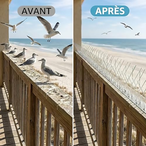 KOKMEYA Stainless Steel Anti Pigeon Spikes (5 m, 20 pcs to 25 cm) - Bird Repellent Kit 304 with 40 Screws & 40 Collars - for Balcony, Gutter, Roof & Window - Against Crows
