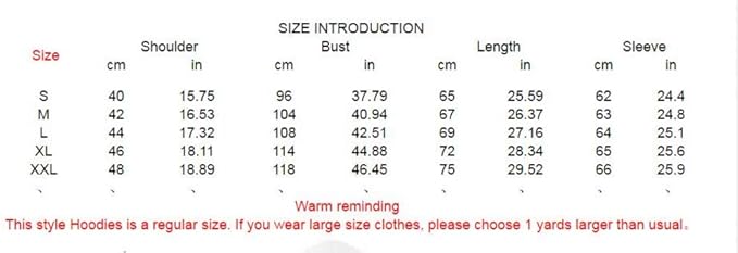 paranoid pablo hoodie