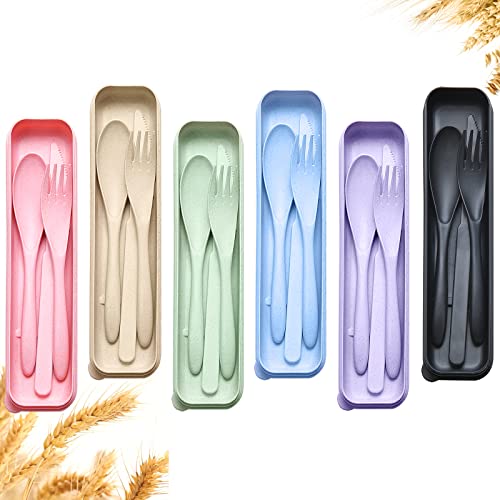 YDYTOP Travel Utensils Set with Case