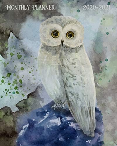 2020-2021 Monthly Planner: Watercolor Owl Cover - LARGE 24 Months Calendar - 2 Year Diary Journal - Multi Year Schedule Organizer - January 2020 to ... Agenda Notebook with Inspirational Quotes