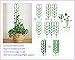 Potted Plant Growing Support 3-Pack, Tomato Cage, 3Piece Fruits and Vegetables Climbing Staking System (8Piece Flexible Adjustable Plant Ties Included) Adjustable Plant Climbing Trellis