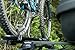 RockyMounts BrassKnuckles upright roof bike rack