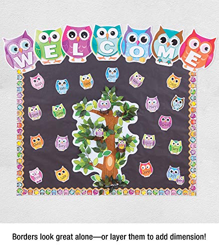Carson Dellosa Colorful Owls Scalloped Borders (108277)