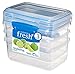 Sistema Fresh Collection Food Storage Container, 33.8 oz./1.0 L, Clear/Marine Blue, 3 Count