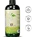 Best Shampoo for Oily Hair – Itchy Scalp Botanical Hair Loss Treatment for Men & Women – Degreaser Hair Product Sulfate Free – Clarifying Shampoo for Color Treated Hair & Natural Beauty Hair Care 16ozthumb 3