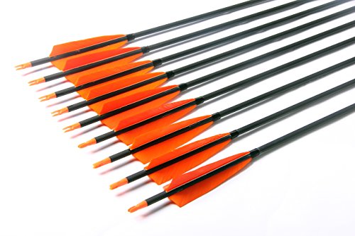 image for PG1ARCHERY 30 Inch Archery Hunting Target Arrows, Carbon Arrows 5
