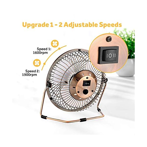 EasyAcc USB Desk Fan 6 Inch Desktop Silent Fan Air Circulator 2 Speeds 360° Rotation Brushless Motor Noiseless for Home…