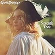 Seventh Tree (Deluxe CD/DVD)