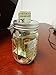 Galvanized Metal Coin Slot Bank Lid Insert for Mason, Ball, Canning Jars (6pack, Regular Mouth)