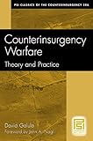 Book cover for Counterinsurgency Warfare: Theory and Practice