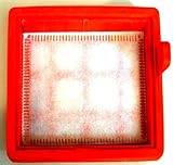 Eureka El4071A Canister Vac Inlet Filter # A4293950004R