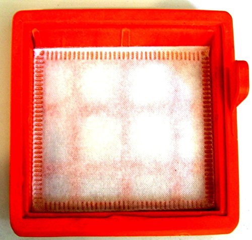 Eureka El4071A Canister Vac Inlet Filter # A4293950004R