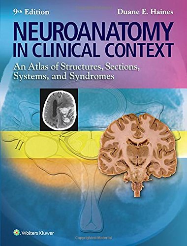 Download Neuroanatomy in Clinical Context: An Atlas of Structures, Sections, Systems, and Syndromes (Neuroanatomy: An Atlas of Strutures, Sections, and Systems () Download Neuroanatomy in Clinical Context: An Atlas of Structures, Sections, Systems, and Syndromes (Neuroanatomy: An Atlas of Strutures, Sections, and Systems ()