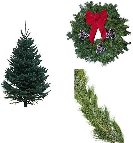 Hallmark Real Christmas Tree, Black Hills Spruce, 6 Foot To 7 Foot, No Stand, Fraser Fir Wreath, and 25' White Pine Garland
