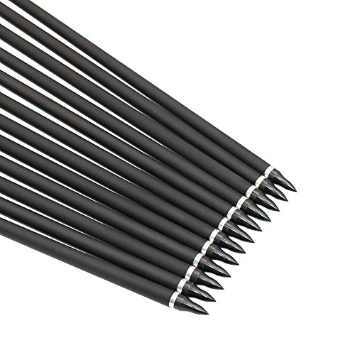 ARCHERY SHARLY 31" Carbon Hunting Arrows Targeting Practice Arrows,3" Plastic Vanes Screw-in Replacement Tips for Recurve & Traditional Bow & Longbow (12 Pack) - Thumbnail 4