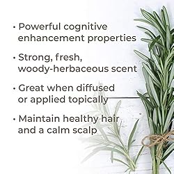 Plant Therapy Rosemary Essential Oil