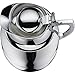 alfi Juwel Glass Vacuum Chrome Plated Brass Thermal Carafe for Hot and Cold Beverages, 1.5 L, Chrome