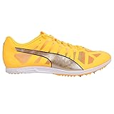 PUMA Mens Evospeed Distance 11 Track and Field