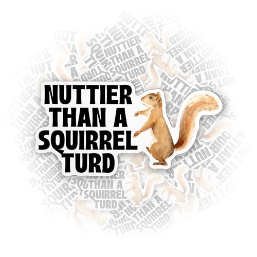 Custom Name Sticker Softball Baseball Helmet Decal Personalized Name Hard Hat Stickers Die-Cut Vinyl Sticker for Hard Hat Laptop Water Bottle Phone Decal Stuff Gift Idea (MORSHINSTICKER241123Squirrel)