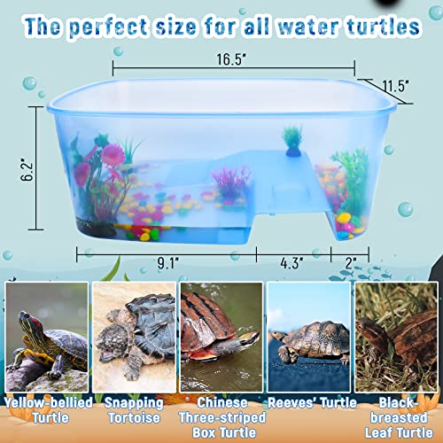 Rypet Baby Turtle Tank Starter Kit Reptile Terrariums Tortoise