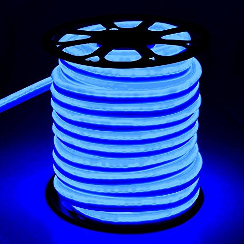 DELight 150 Feet 110 Volts Flexible LED Neon Rope 1/2" Diam. Tube Light