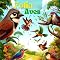 Livro Folia das Aves
