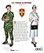 U.S. Forces in Vietnam: 1968-1975 (Militaria Guides)