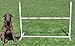 Affordable Agility Practice Adjustable Jump