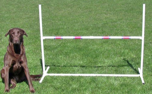 Affordable Agility Practice Adjustable Jump