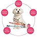 COLEMETER Dog Chew Toys Puppy Ropes Dog Balls Durable & Safety Cleaning Toys for Small to Medium Dogs (Gift Set of 4)