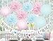 Gender Reveal Party Supplies Gender Reveal Decorations BOY OR Girl? Banner with Tissue Pom Poms Paper Lanterns Baby Blue Pink for Birthday/Pink and Blue Decorations