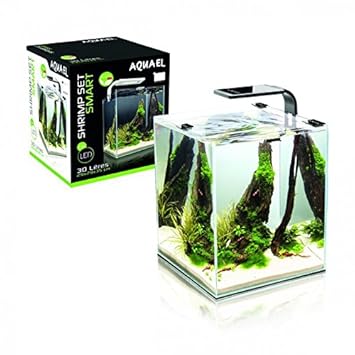 Aquael Acuario Camarón Set con iluminación LED moderna: Amazon.es ...